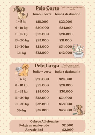 Imagen 0