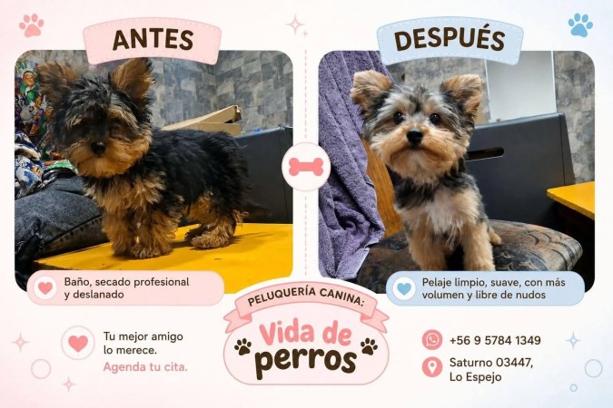 Imagen 1
