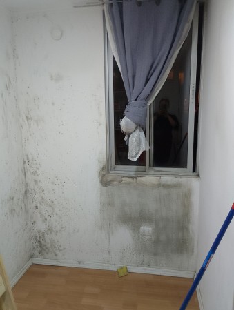 Imagen 6 de servicio