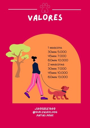 Imagen 4 de servicio