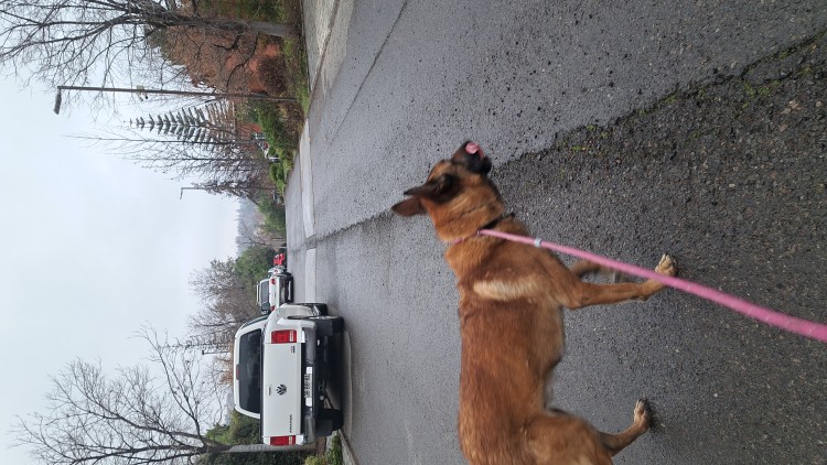 Imagen 7 de servicio