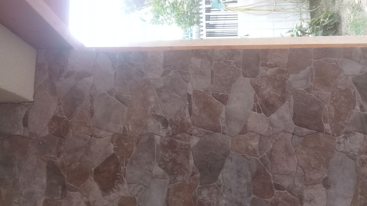Imagen 14 de servicio