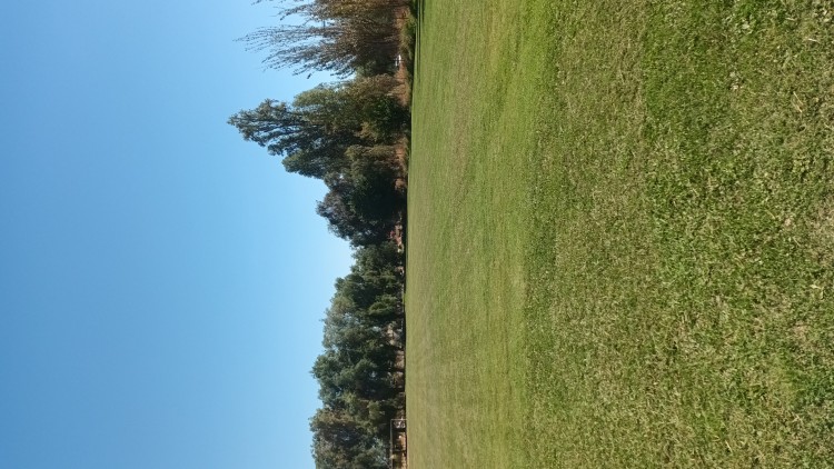 Imagen 4 de servicio