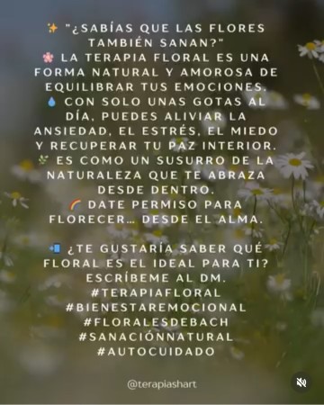Imagen 3 de servicio