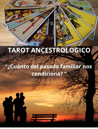 Imagen 5 de servicio