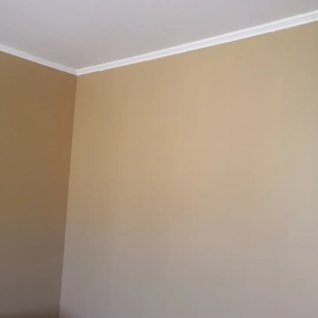 Imagen 40 de servicio