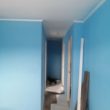 Imagen 39 de servicio
