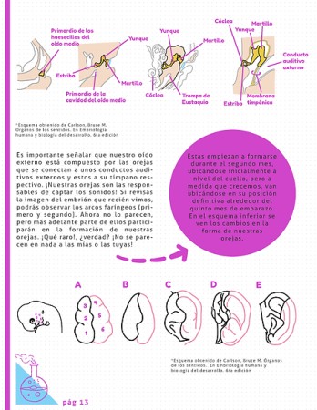 Imagen 4 de servicio