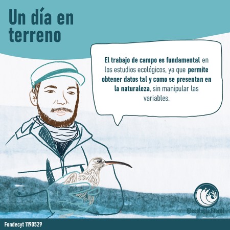Imagen 6 de servicio