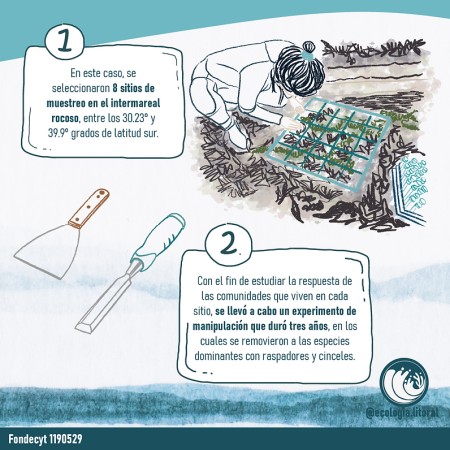 Imagen 7 de servicio