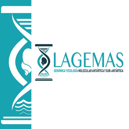 Imagen 8 de servicio