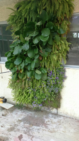 Imagen 1