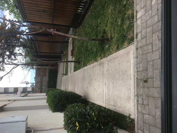 Imagen 11 de servicio