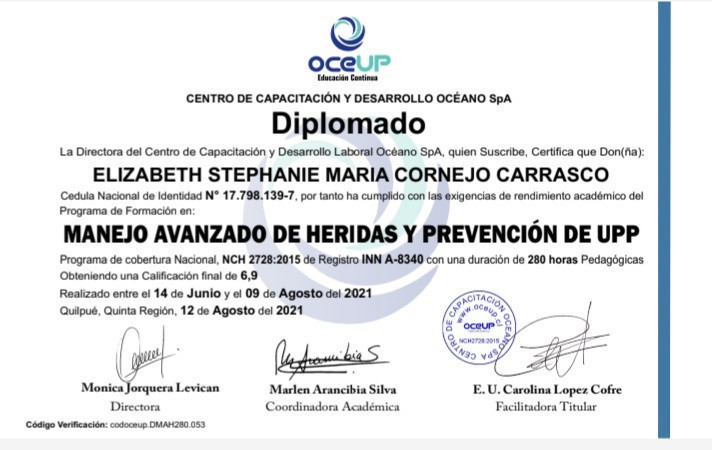 Imagen 0