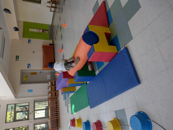 Imagen 1