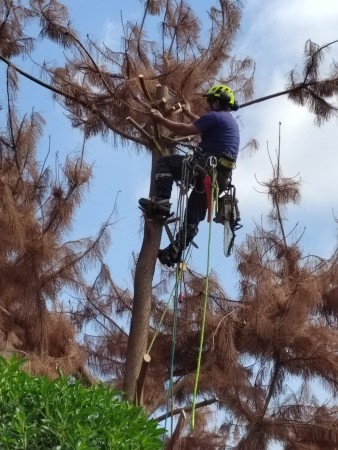 Imagen principal del servicio