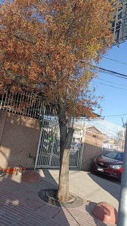 Imagen principal del servicio