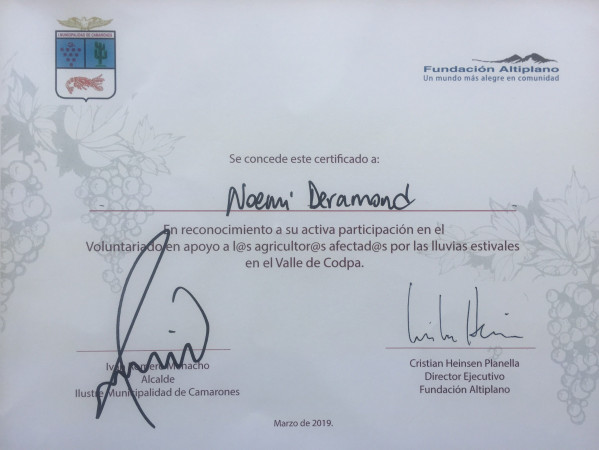 Imagen 5 de servicio