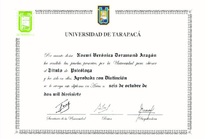 Imagen 10 de servicio