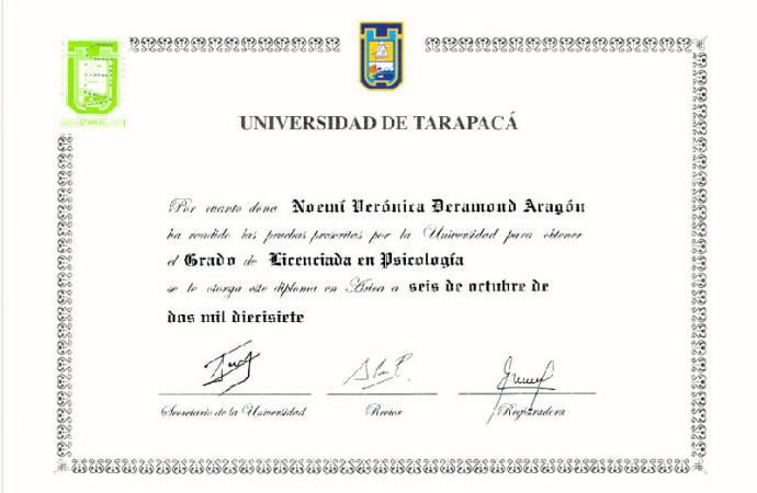 Imagen 11 de servicio