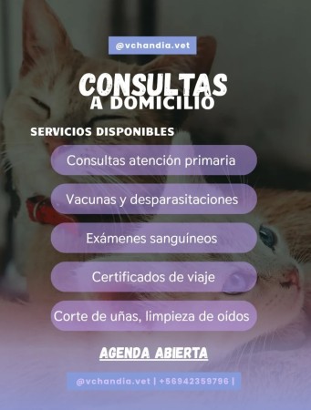 Imagen 0