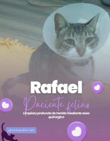 Imagen 3 de servicio