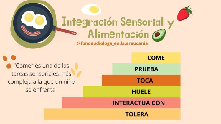 Imagen 6 de servicio