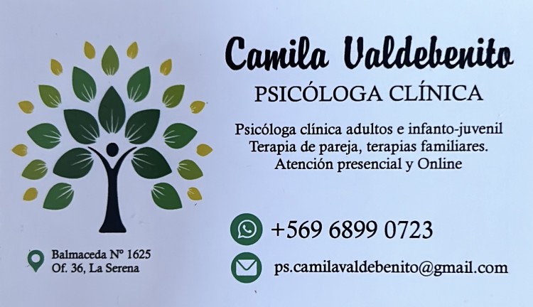 Imagen 1