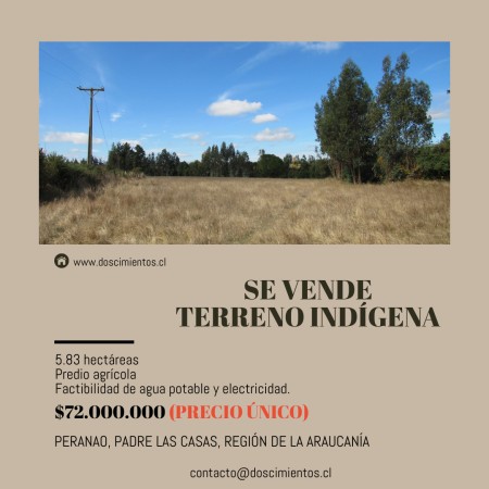 Imagen 8 de servicio