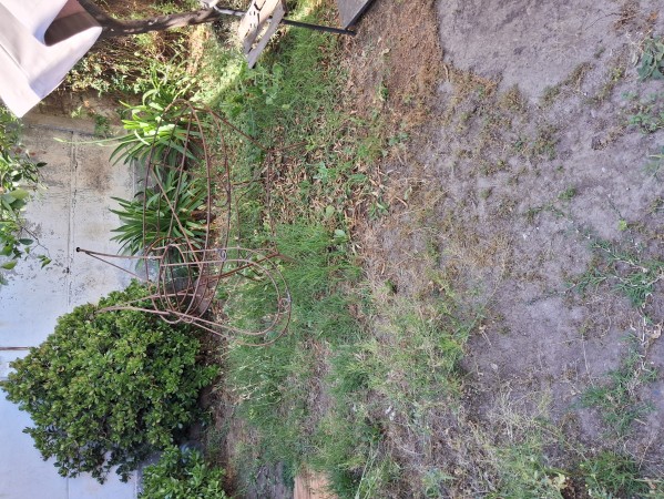 Imagen 6 de servicio