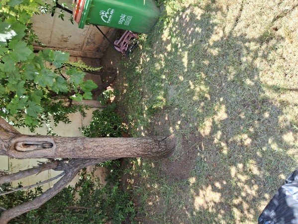 Imagen 9 de servicio