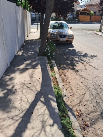 Imagen 22 de servicio