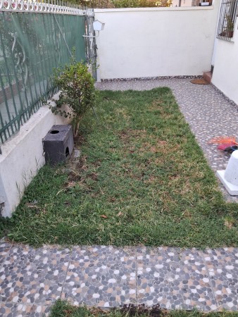 Imagen 25 de servicio