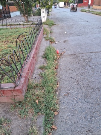 Imagen 26 de servicio