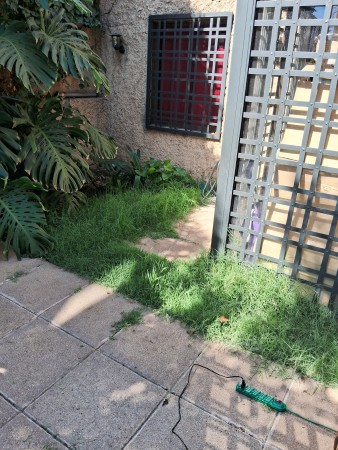 Imagen 33 de servicio