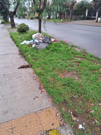 Imagen 40 de servicio