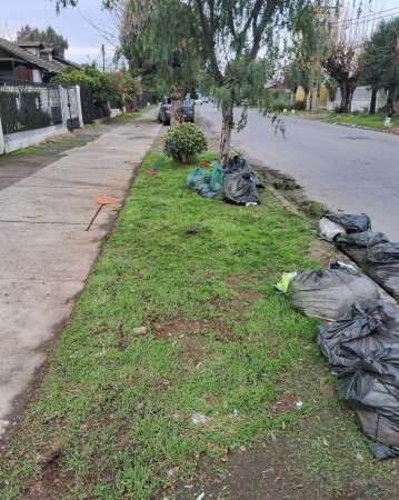Imagen 41 de servicio