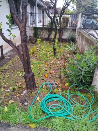 Imagen 42 de servicio