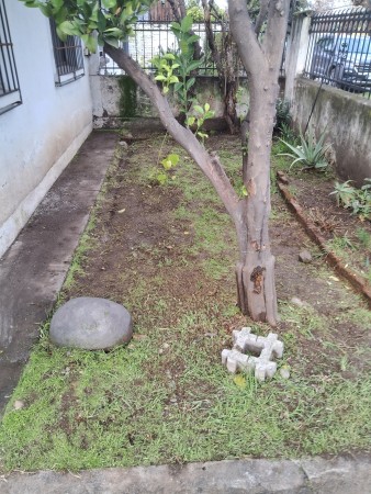 Imagen 43 de servicio