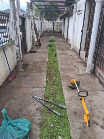 Imagen 45 de servicio