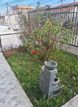 Imagen 54 de servicio