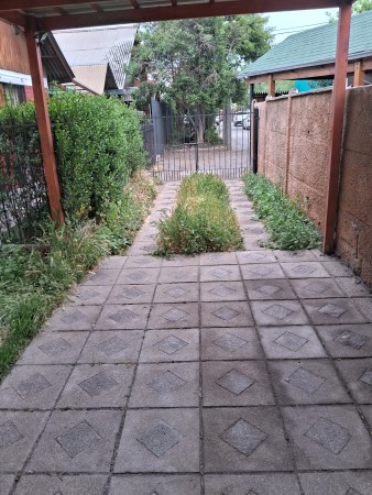 Imagen 80 de servicio