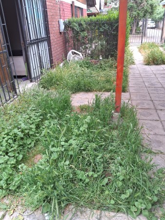 Imagen 84 de servicio