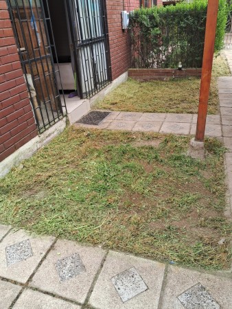 Imagen 87 de servicio