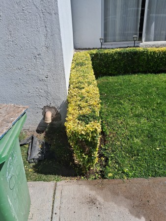 Imagen 102 de servicio