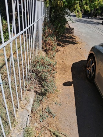 Imagen 115 de servicio
