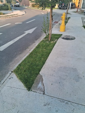 Imagen 126 de servicio