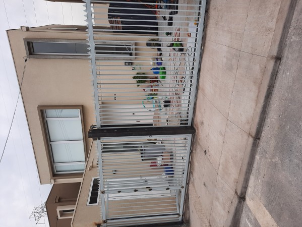 Imagen 43 de servicio