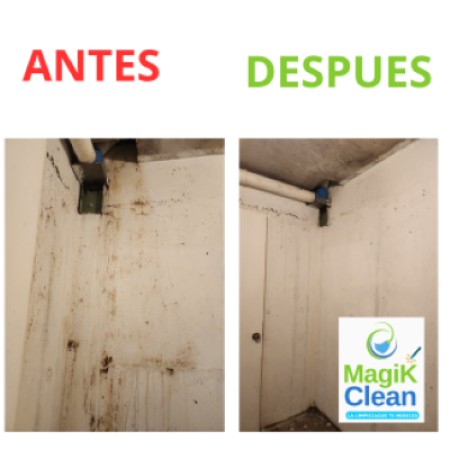 Imagen 11 de servicio