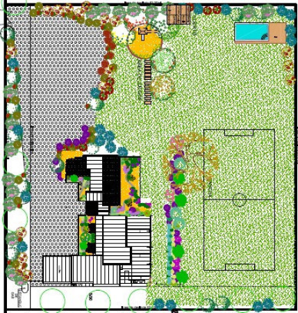 Imagen 4 de servicio